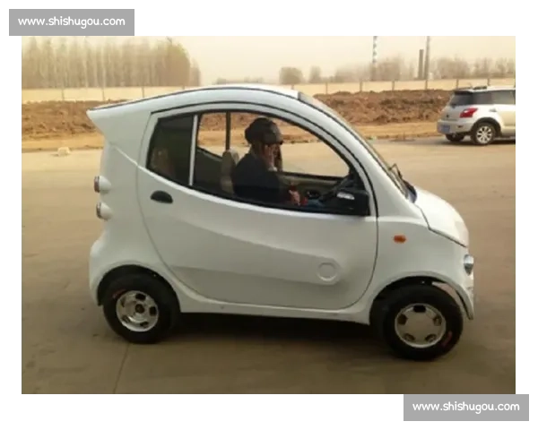 老头乐电动车兴起背后反映出的养老出行与城市交通管理新困境