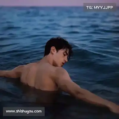 沈秦飚